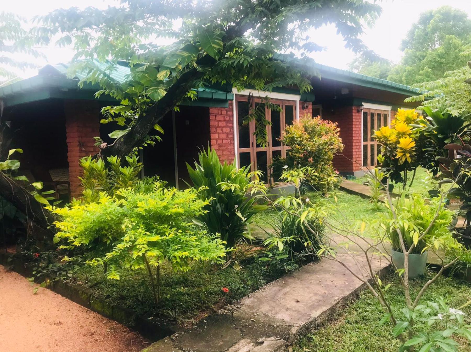 Sunshine Resort & Spa Sigiriya Exterior photo