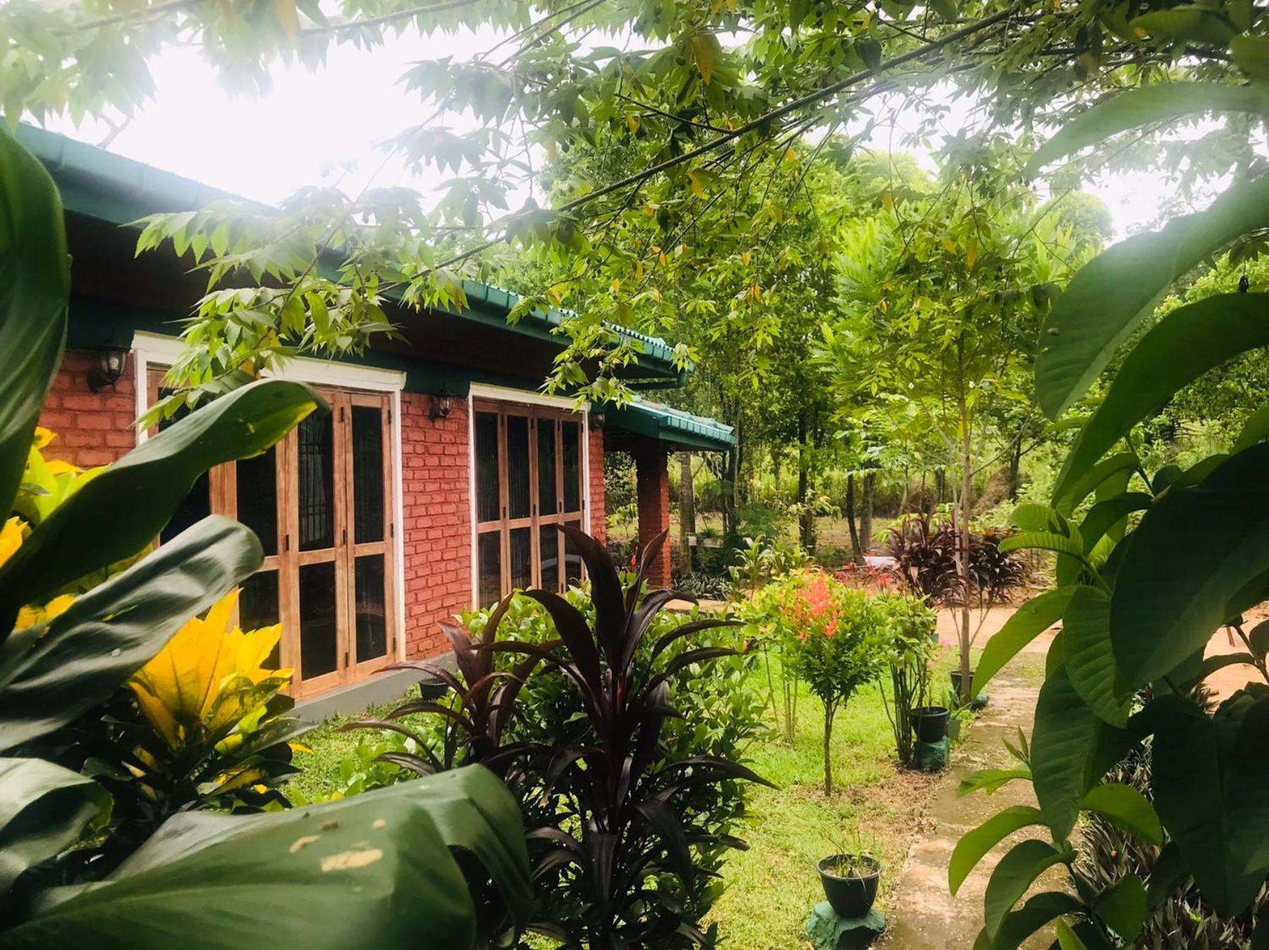 Sunshine Resort & Spa Sigiriya Exterior photo