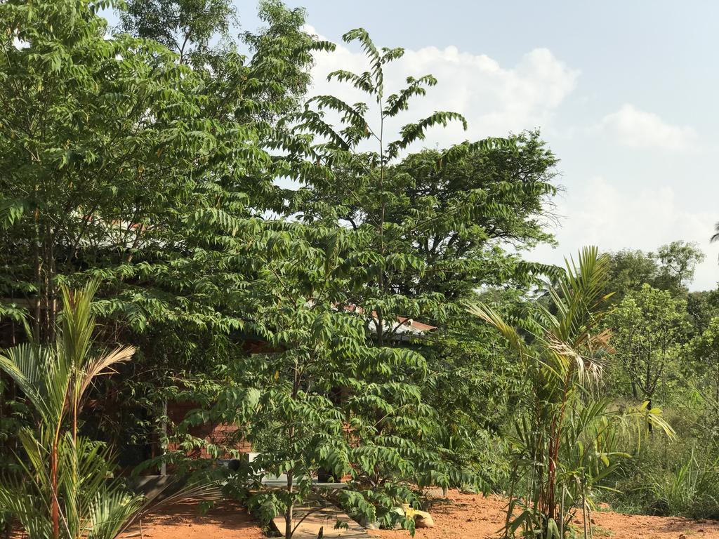 Sunshine Resort & Spa Sigiriya Exterior photo